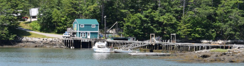 Renaissance Engineer