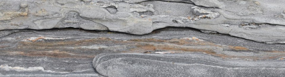 Renaissance Engineer